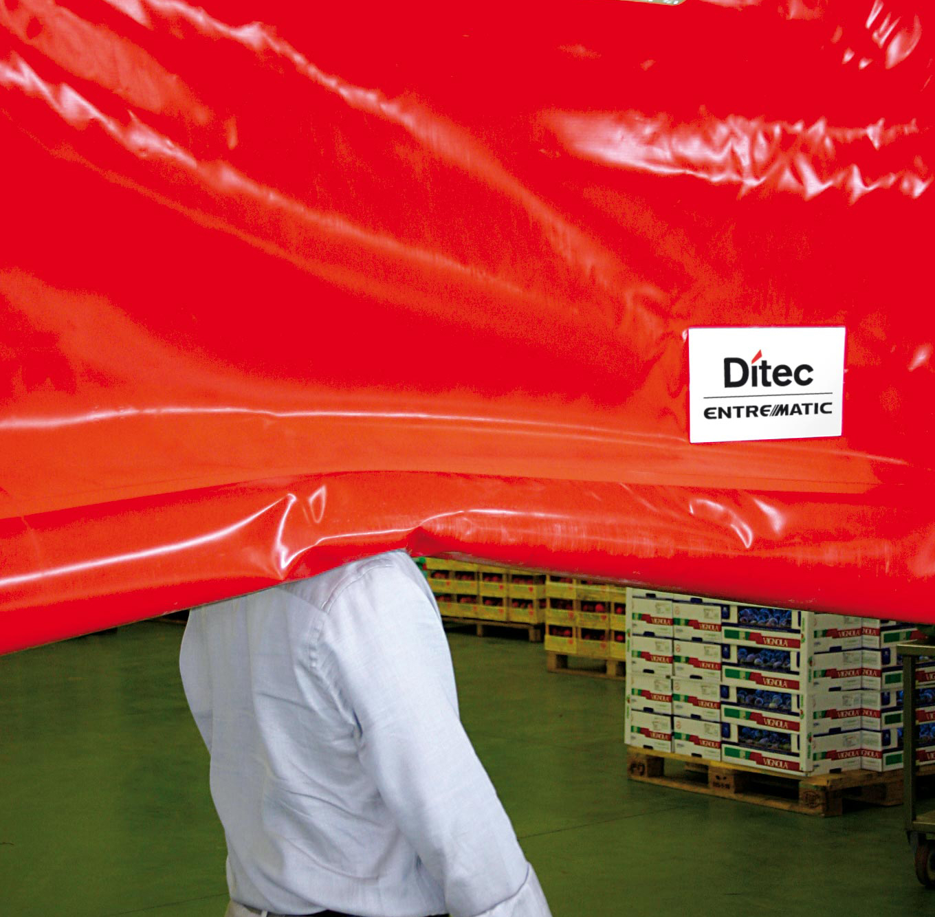 Ditec SECTOR RESET - Insight Automation