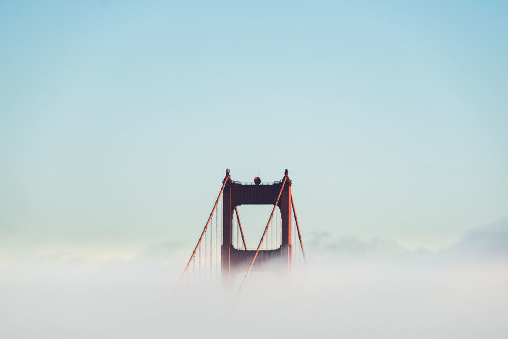 Insight Automation