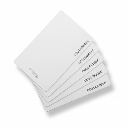 Proximity Card with Punched Solt